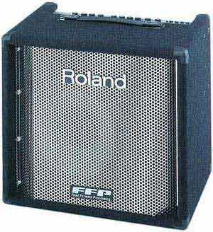Roland_DB500_Bass_Combo
