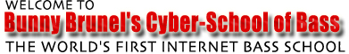 cyber-school